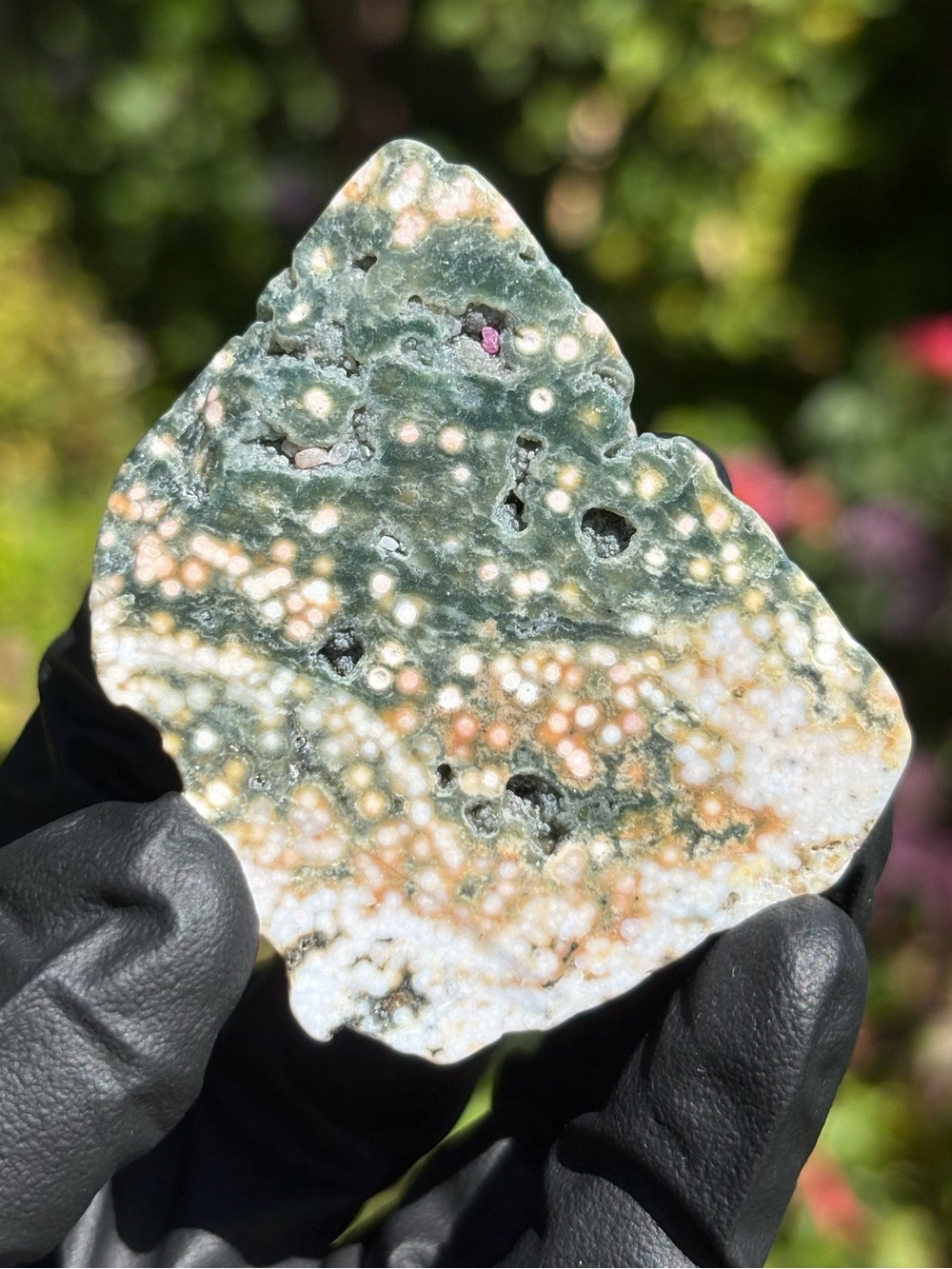 Ocean Jasper Crystal Freeform - Polished Sea Jasper - Orbicular Jasper